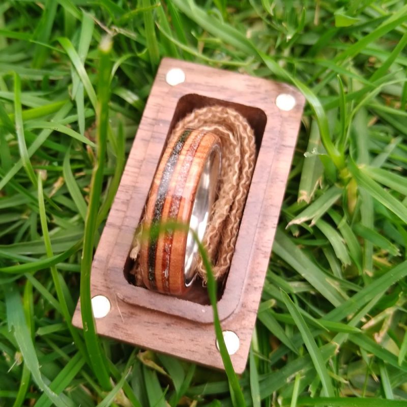 NZ Native Pohutukawa (Christmas Ring)