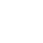 NZ NATIVE WOOD RINGS